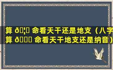 算 🦋 命看天干还是地支（八字算 🐟 命看天干地支还是纳音）